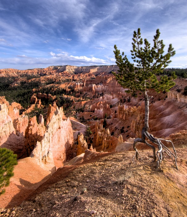 Bryce Canyon  002