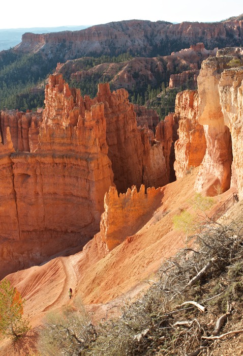 Bryce Canyon  007