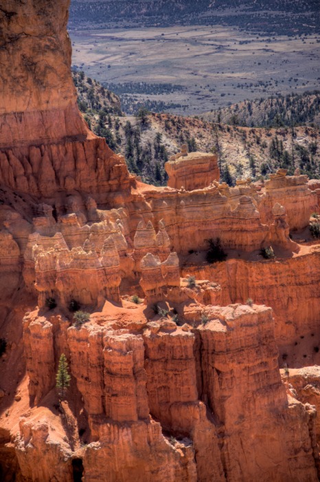 Bryce Canyon  009