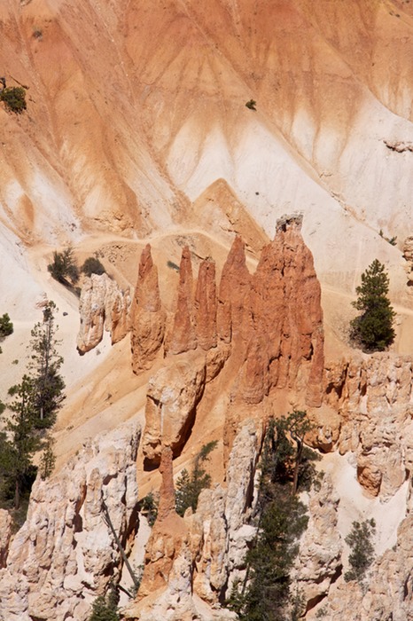 Bryce Canyon  010