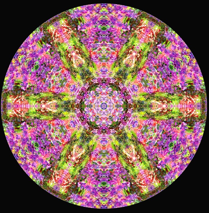 Mandala Chakra Oversoul