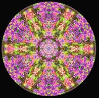 Mandala Chakra OS EB