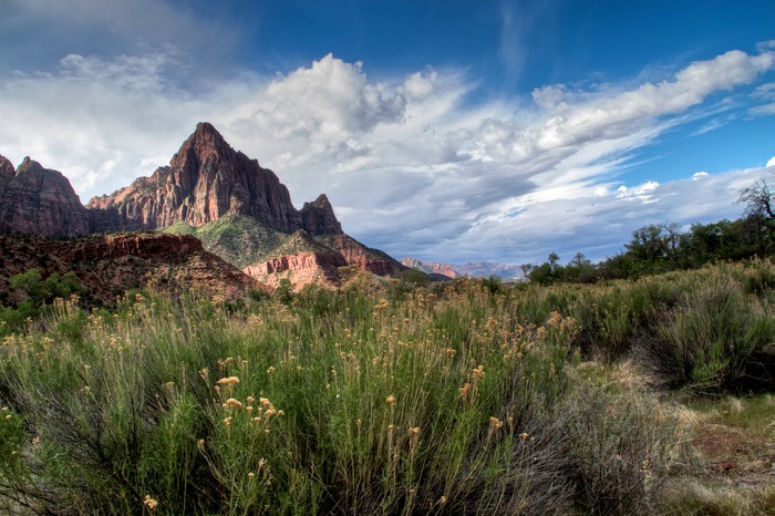 Zion  004
